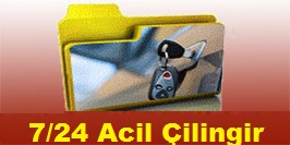 Altınşehir Mahallesi oto çilingir